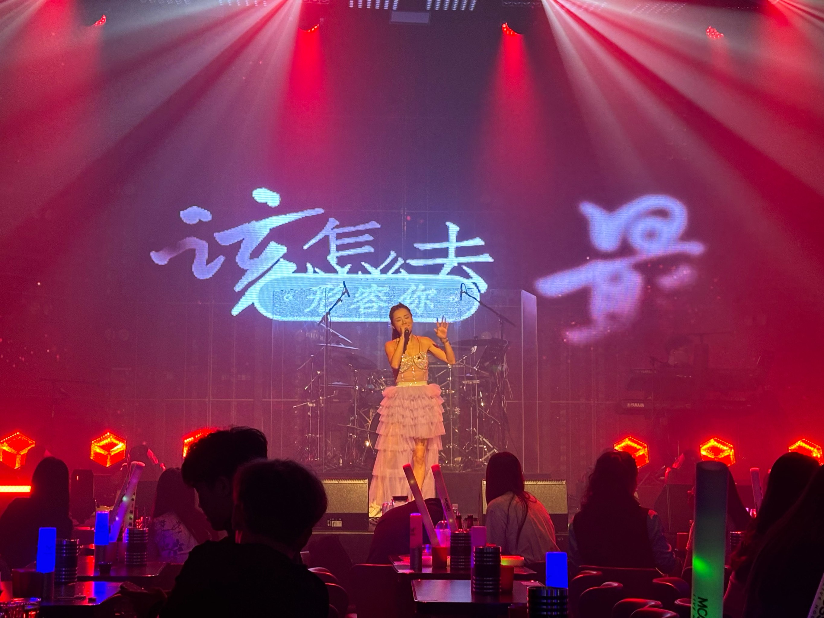 白城商务ktv消费攻略揭秘-镇赉县ktv预订